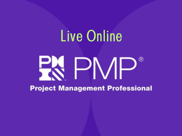 Online-pmp-dayspring